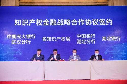 2022年首場(chǎng)湖北省專利技術(shù)供需對(duì)接會(huì)在漢成功舉辦 技術(shù)推廣服務(wù)再升級(jí)